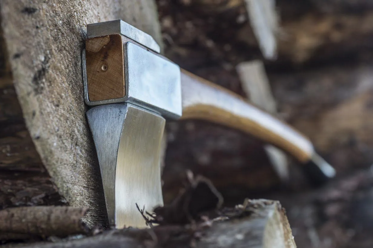 1844 Helko Werk Germany Vario Universal Axe - German Made Midsize General Purpose Felling Axe for Felling Trees, Cutting Timber, and Splitting Wood - Head 4.25lbs, Handle 30in. (Universal) #10053