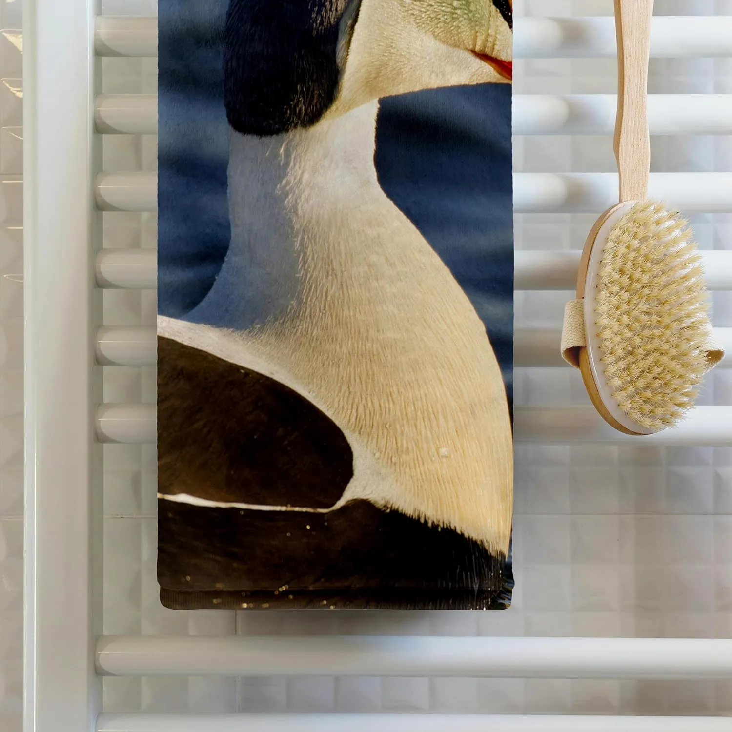 22x30 Bath Hand Pool Towel - King Eider Duck, Tundra Pond, Alaska, USA - US02 HRO0728 - Hugh Rose Ducks
