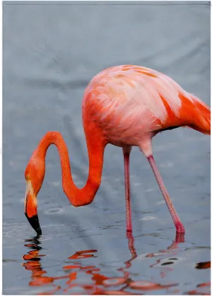 3dRose 22x30 Bath Hand Pool Towel - Ecuador, Galapagos, Floreana, Punta Cormoran, Greater Flamingo Feeding Birds