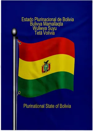 3dRose 22x30 Bath Hand Pool Towel - Waving Flag of Bolivia with Bolivia Printed in English, Spanish, Quechua, Aymara and Guarani Flags and Maps - South America