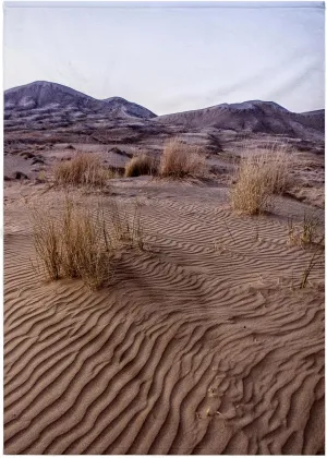 3dRose Boehm Photography Landscape - Mojave Desert Dunes - Towels (twl-110806-2)