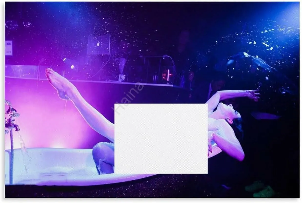 American Artist Dita Von Teese Art Poster 5 Canvas Painting Posters And Prints Wall Art Pictures for Living Room Bedroom Decor 24x16inch(60x40cm) Unframe-style
