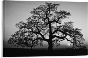 American Landscape Photographer Ansel Adams Poster Canvas Wall Art Posters For Room Aesthetic And Decor 2Canvas Painting Wall Art Poster for Bedroom Living Room Decor20x30inch(50x75cm)