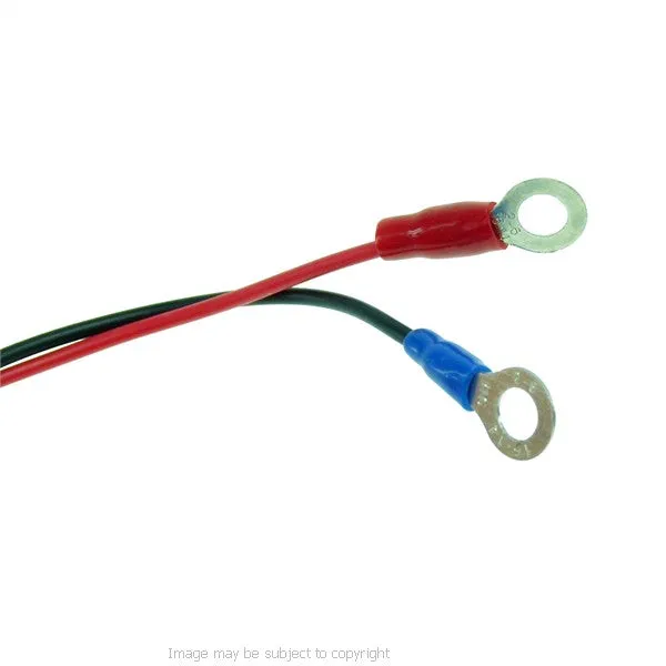 BuyBits High Power Straight Mini USB Motorcycle Hard Wire Charger for TomTom GPS Satnav (sku 21553)