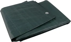 Camping 12010 Ground Sheet-Green, 1.9mx3m