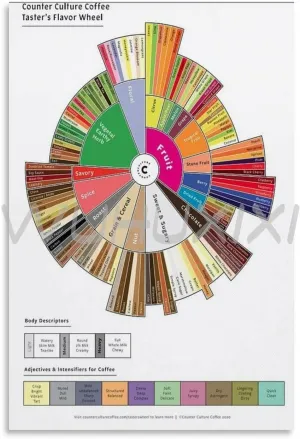 Coffee Taster Flavor Wheel Poster, Coffee Flavor Wheel, Coffee Knowledge Poster 2 Canvas Painting Wall Art Poster for Bedroom Living Room Decor 08x12inch(20x30cm) Unframe-style