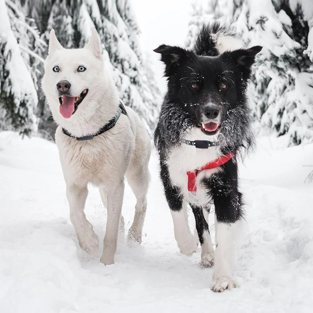 Dog GPS Tracker Anti Lost Locator
