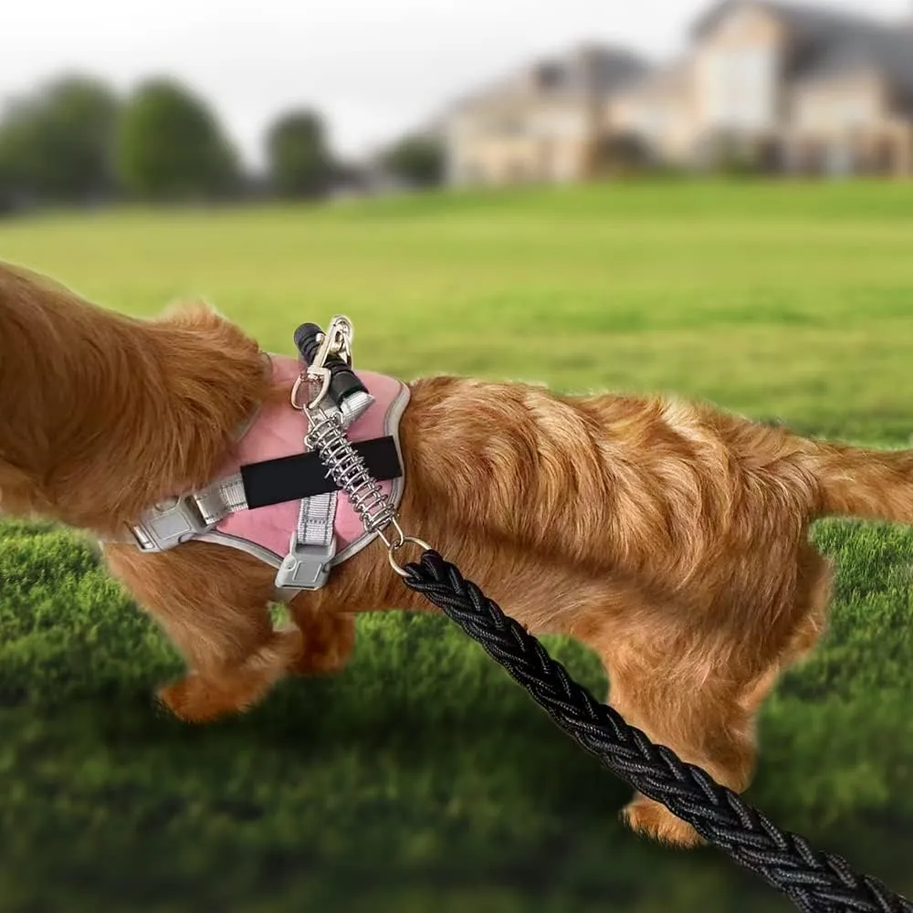 Dog Leash with Metal Shock Absorbing Spring Buckle,4Pack Dog Chain Tension Springs, Spring Buckle Set for Camping, Tents, Tarps, and Sunshade