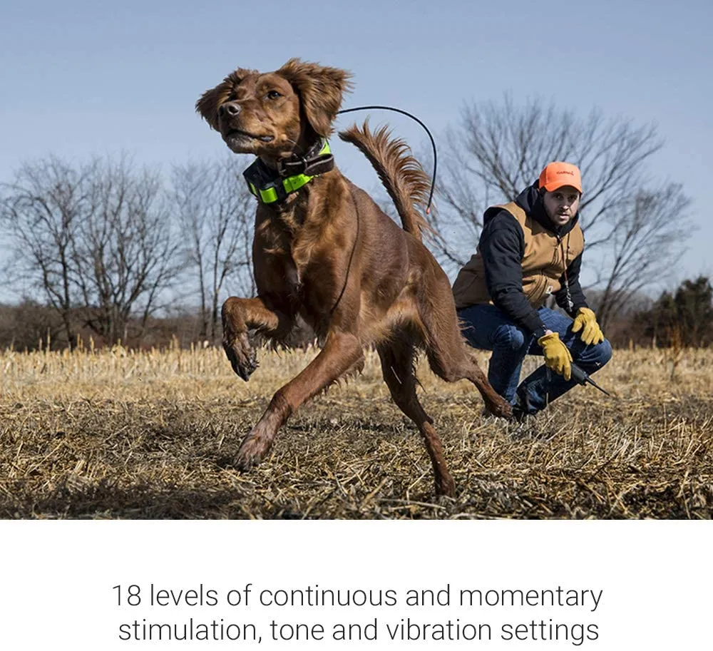 Garmin PRO 550 Plus Training and Tracking TT 15 Mini Dog Device Bundle