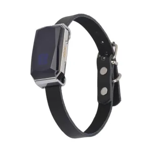GPS Smart Waterproof Pet Collar