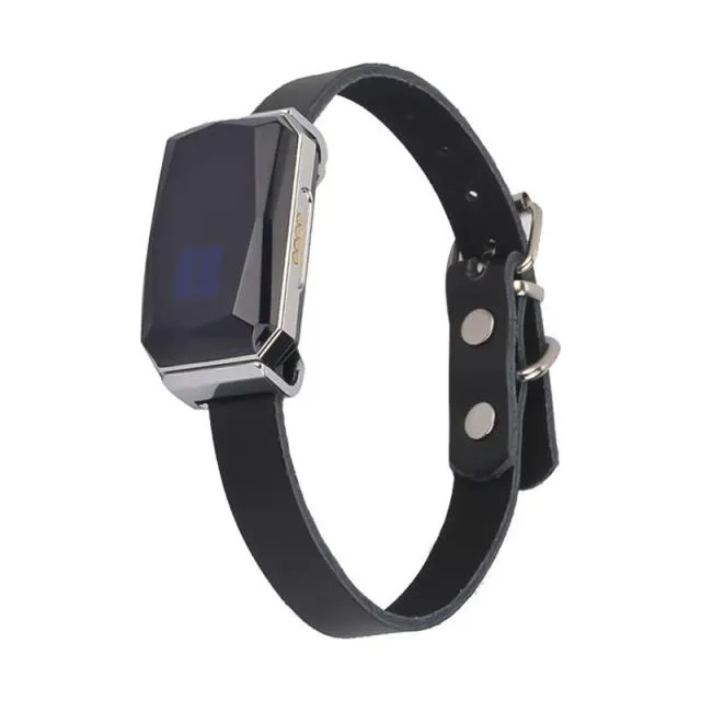 GPS Smart Waterproof Pet Collar