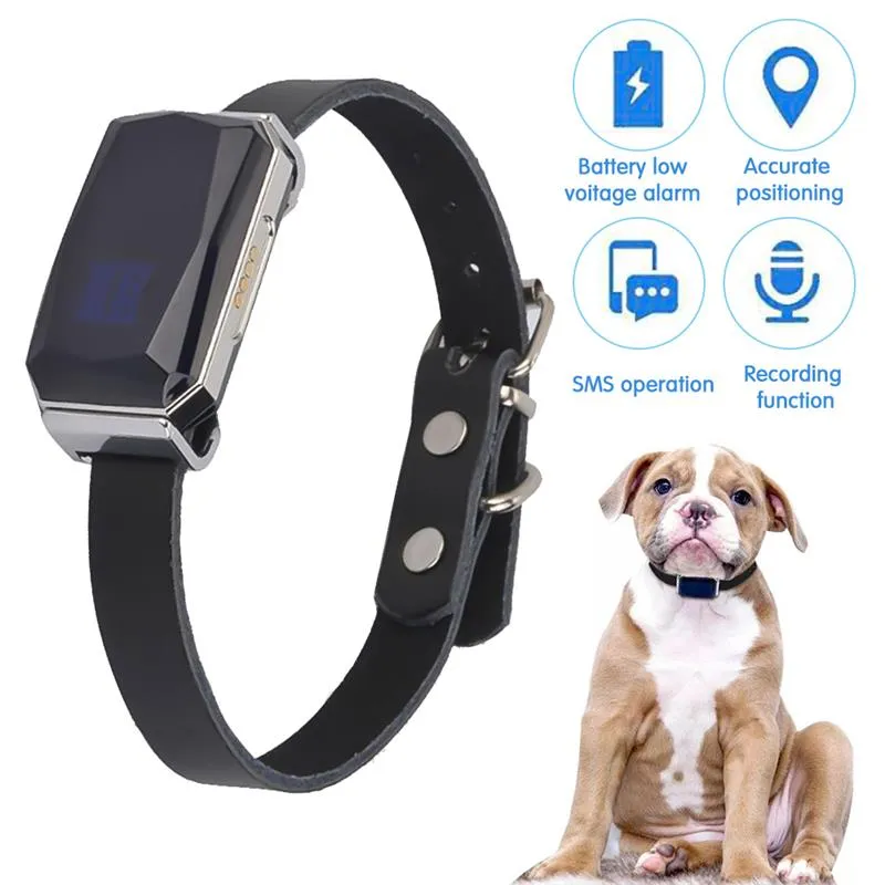 GPS Smart Waterproof Pet Collar