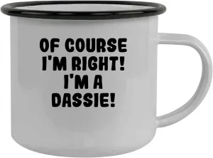 Of Course I'm Right! I'm A Dassie! - Stainless Steel 12Oz Camping Mug, Black