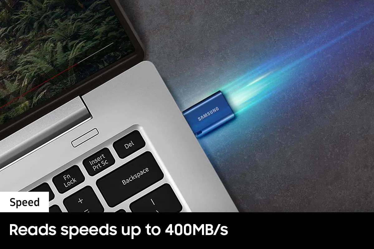 SAMSUNG Type-C™ USB Flash Drive, 256GB, Transfers 4GB Files in 11 Secs w/Up to 400MB/s 3.13 Read Speeds, Compatible w/USB 3.0/2.0, Waterproof, 2022, Blue, MUF-256DA/AM