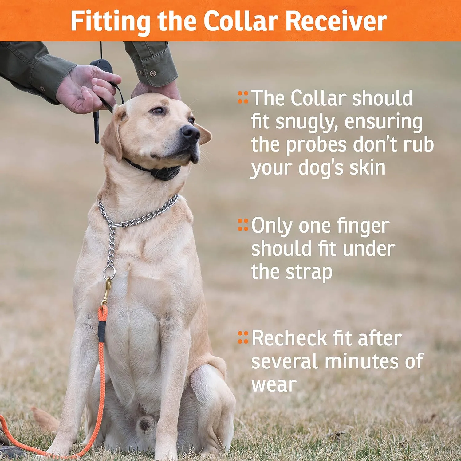 SportDOG Brand FieldTrainer 425XS Remote Training Dog Collar, E Collar For Stubborn Dogs - Waterproof, Submersible Up To 25 Feet, Rechargeable Dog Training Device with Remote Static, Vibrate, and Tone