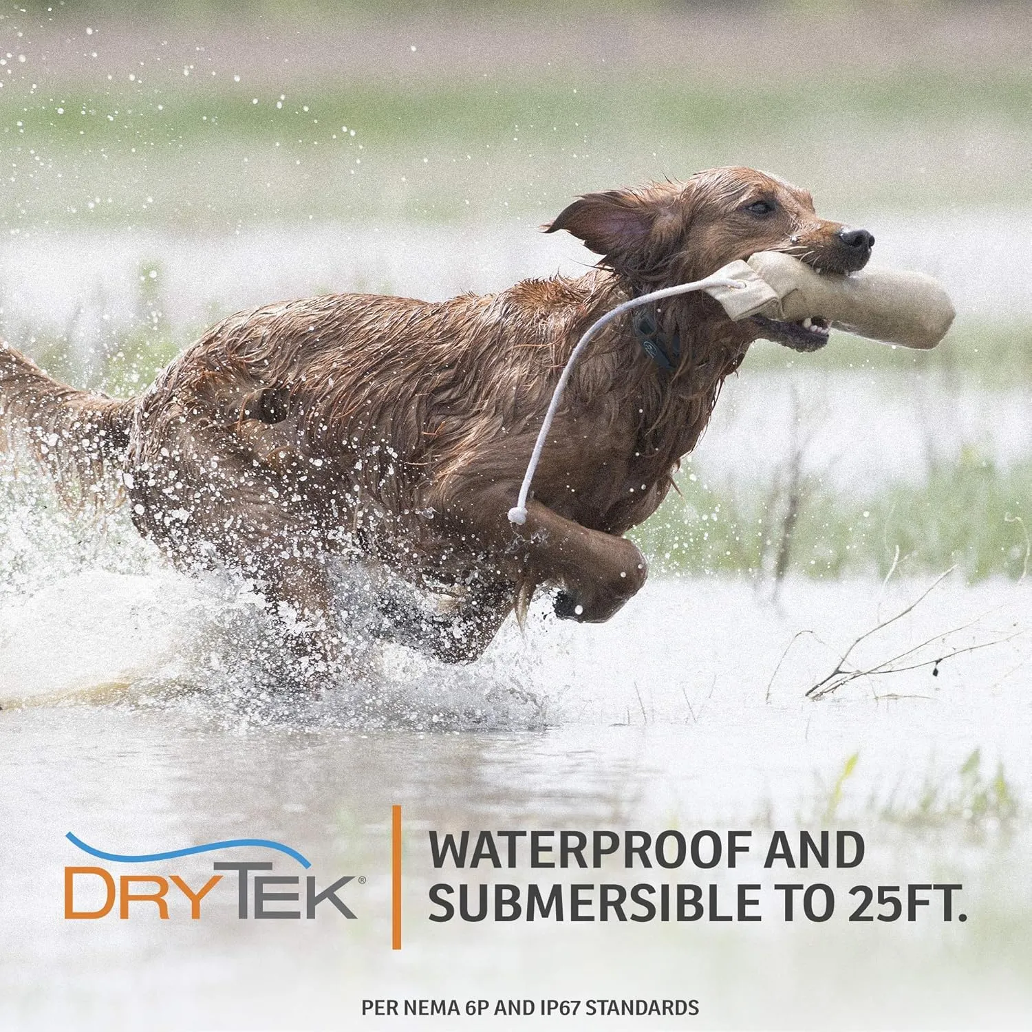 SportDOG Brand FieldTrainer 425XS Remote Training Dog Collar, E Collar For Stubborn Dogs - Waterproof, Submersible Up To 25 Feet, Rechargeable Dog Training Device with Remote Static, Vibrate, and Tone