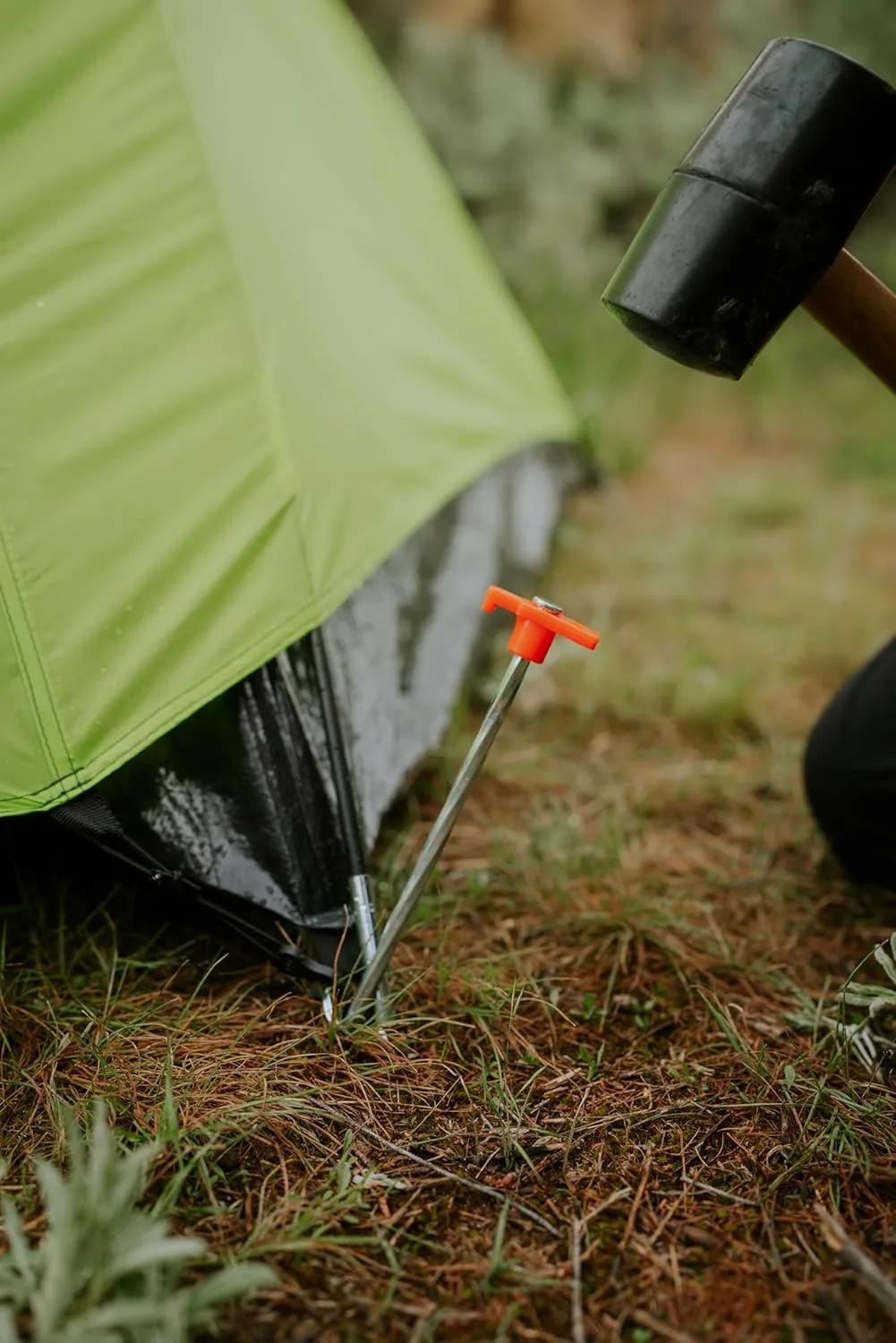 Stansport Camping Tent Stake - Multipack