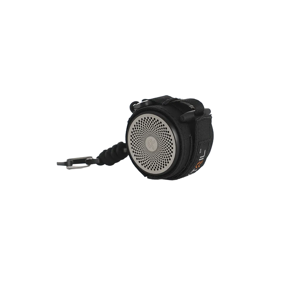 Tiny Speaker