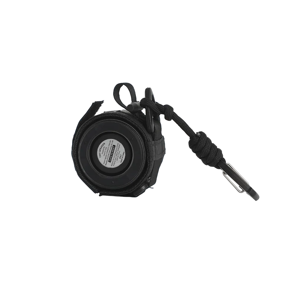 Tiny Speaker
