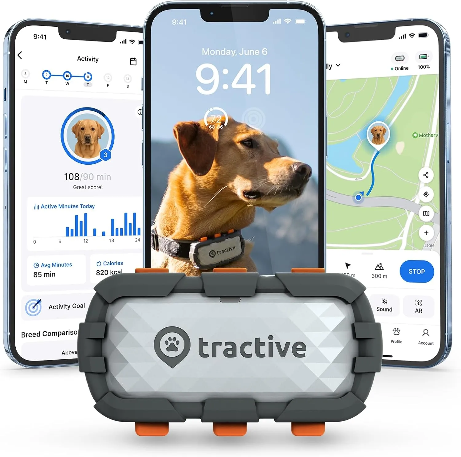 Tractive XL GPS Dog Tracker (50 lbs ) | Real-time Pet Location Tracker | Health & Wellness Alerts | Virtual Fence for Dogs | Dog Collar Attachment (Adventure Edition)