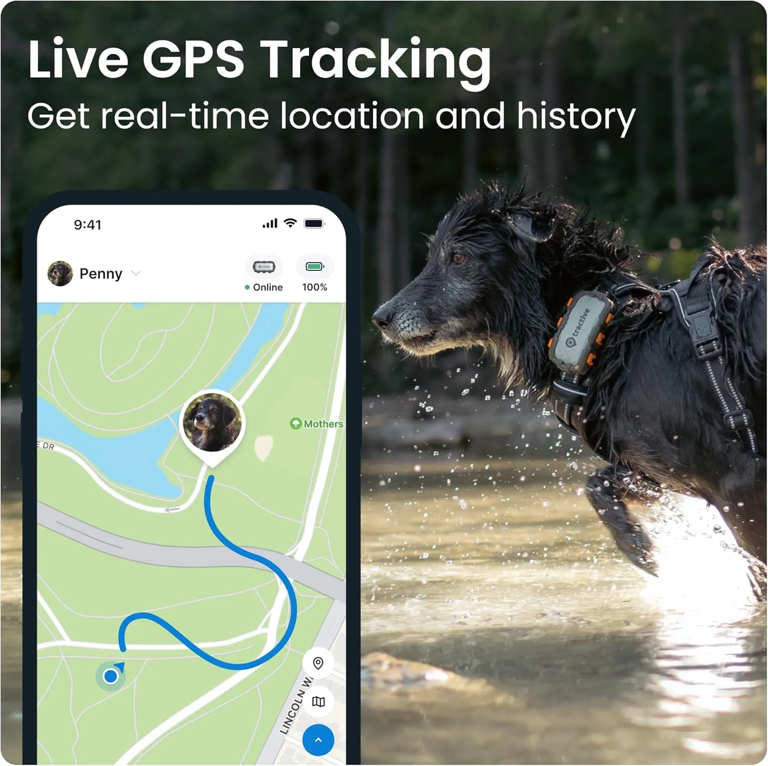 Tractive XL GPS Dog Tracker (50 lbs ) | Real-time Pet Location Tracker | Health & Wellness Alerts | Virtual Fence for Dogs | Dog Collar Attachment (Adventure Edition)