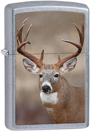 Zippo Lighter: Deer, Buck - Street Chrome 81175